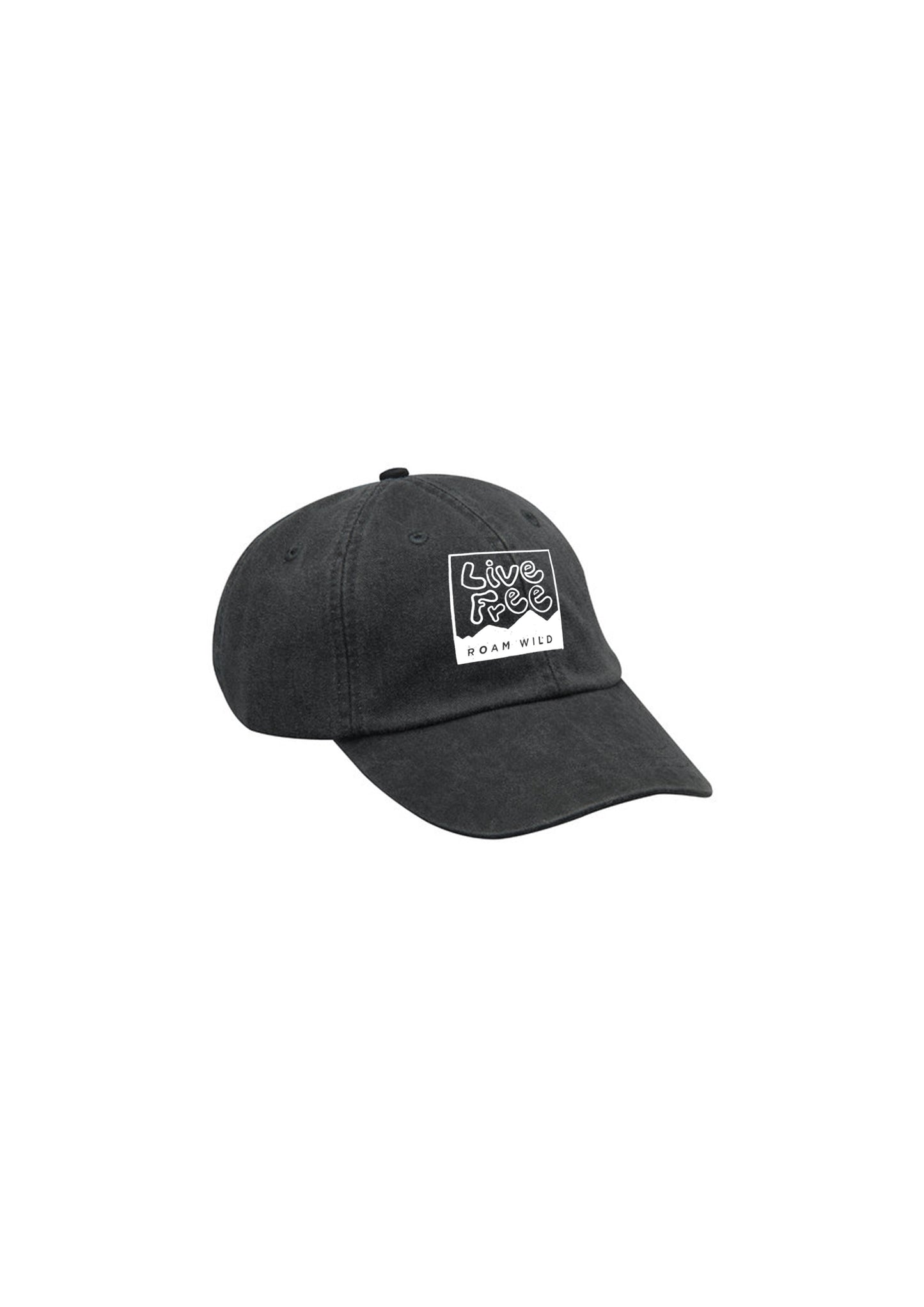 New Hampshire Hat