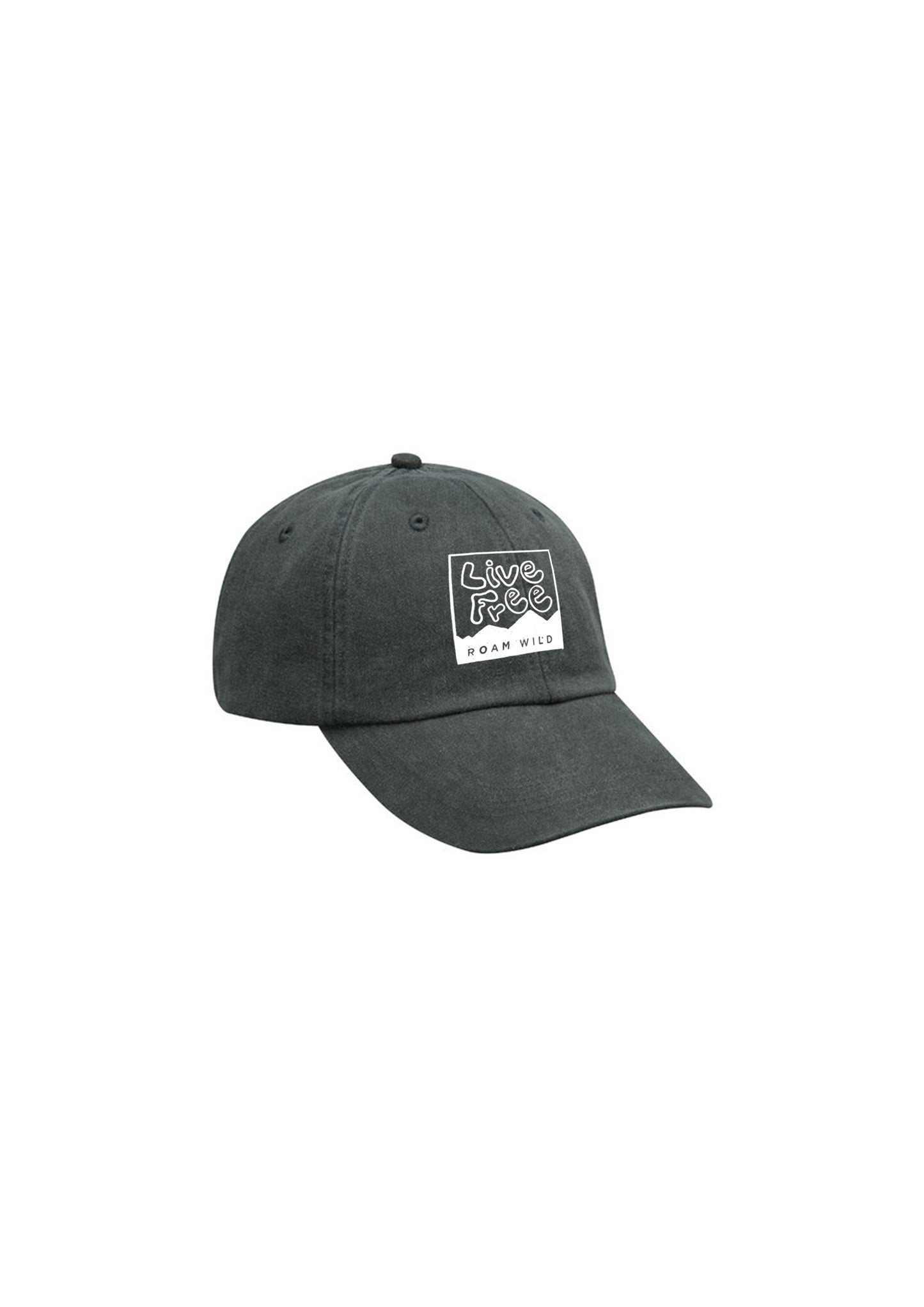 New Hampshire Hat