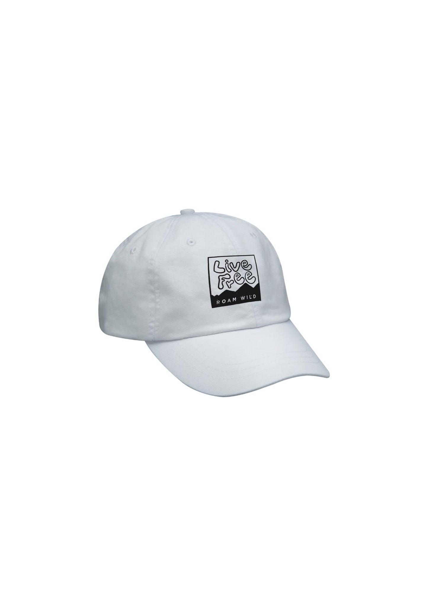 New Hampshire Hat